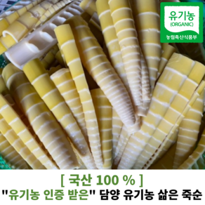 [ 국산100% ] 유기농 인증 받은 유기농 삶은 죽순 500g / 1kg 통죽순 찢은죽순 다이어트 변비해소 삶은죽순 햇죽순 대나무순 죽순나물, 찢은 죽순 500g, 1개