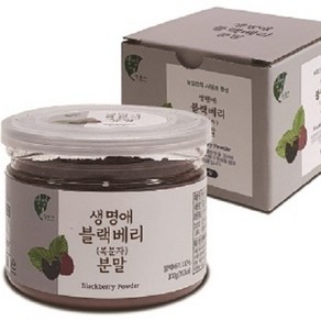 생명애 블랙베리(복분자)분말 100g, 1개