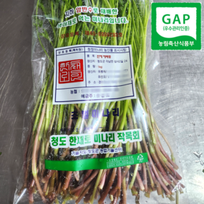[GAP 인증] 산지직송 향긋한 청도 미나리, 1kg, 1개