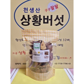 [천생산] 두번 건조한 2년산 상황버섯 (직접재배), 1박스, 50g