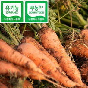 [홍성유기농] 2025년 국내산 친환경 무농약 당근 당근(상)3kg 당근(상)5kg 즙용당근3kg 즙용당근5kg), 1개, 3kg