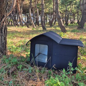 코지톡 길고양이 겨울집 길냥이 급식소 실외 숨숨집 하우스, 1개, 블랙