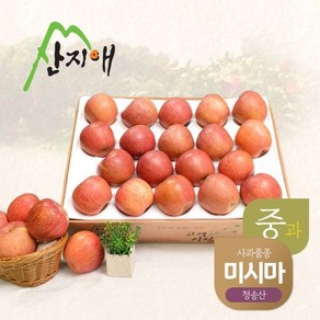 알뜰 사과중과 4.5kg 1box 청송산 미시마, 1