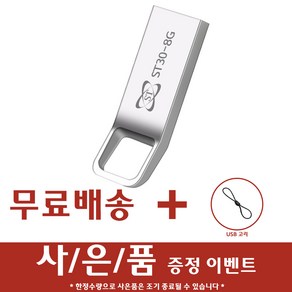 에스티원테크 ST30 메탈 USB메모리 실버, 8GB