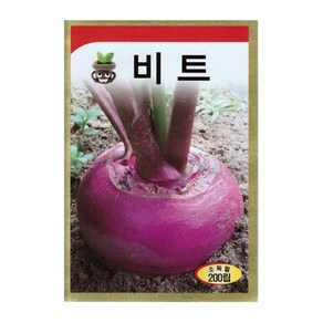 모칸도 동원 비트 씨앗 200립, 1개