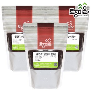 [토종마을] 국산 월견자(달맞이꽃씨) 300g, 3개