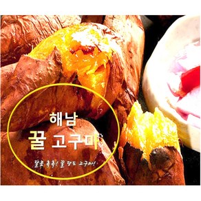 해남꿀고구마 2kg/3kg/5kg/10kg, 2kg(20-50g), 1개