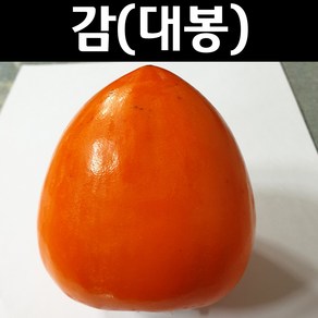 감나무 묘목(대봉) 접목1년 뿌리묘 1개/유실수 과실수, 1개