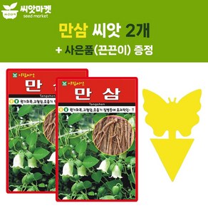 아람 만삼 씨앗 1000립 토종 만삼씨 약초 종자 2개+끈끈이 1p, 1개