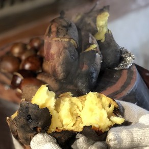 [산지 직송] 또리네 햇 고구마 해남 세척 꿀 밤 고구마 꿀고구마 3kg 5kg 10kg, 5kg 특상, 1박스