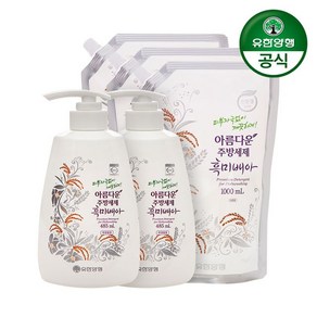 아름다운 주방세제 흑미배아 용기 485ml x 2개+리필 1000ml x 3개, 1개