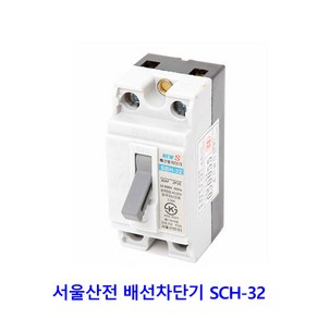 서울산전 배선차단기 15A 20A 30A KS 배선, SBH-32 30A(산업용), 1개