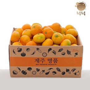 제주 감귤 조생귤 실중량 4.5kg외, 3kg 중대과(L-2L)