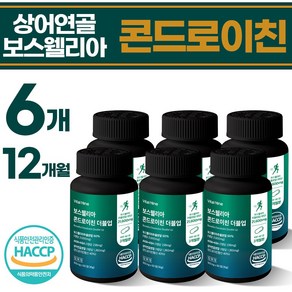 상어연골 보스웰리아 콘드로이친 1200 600mg 핵심원료 더블UP 식약청 HACCP 인증, 6박스, 360정
