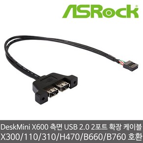 ASRock DeskMini X600 측면 USB 2.0 2포트 확장 케이블 A300/X300/110/310/H470/B660/B760 호환 장착 가능, 30cm, 1개