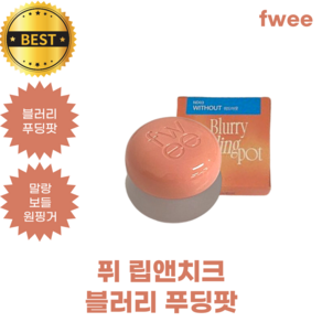 퓌 립앤치크 블러리 푸딩팟 fwee Blurry Pudding Pot 블러리 푸딩 제형 퓌 립앤치크 푸딩팟