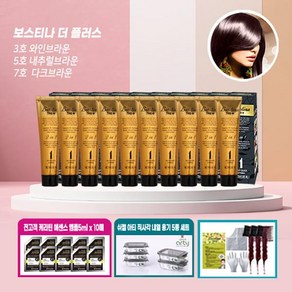 보스티나 [보스티나] 더플러스 염모제 10개(+에센스앰플10매+꼬리빗3개+유리용기5종), 1개, 없음/없음/다크브라운(흑갈색)