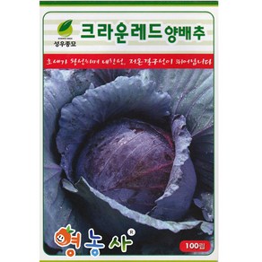 크라운 적양배추 씨앗 100립 빨간 양배추씨 종자