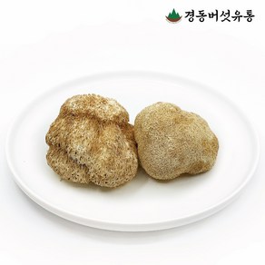 유기농 노루궁뎅이버섯 건조 500g, 1개