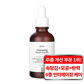 오브웨이 6종 펩타이드 주름 탄력 기능성 안티에이징 유기농 홍삼 리페어 앰플, 2개, 50ml