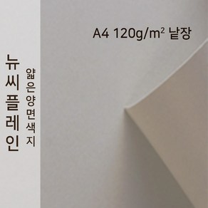 뉴씨플레인 종이문화 얇은 양면색지 120g A4 낱장 1매 No.54 백옥색, 1장