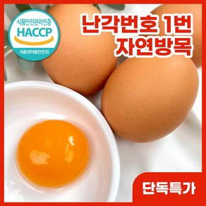 카몬 친환경 계란 자연방목 황동유정란 난각번호1번 무항생제 자연방사 유정란 달걀 HACCP, 1개, 30구