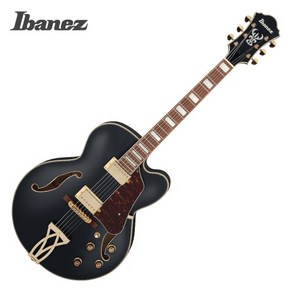 Ibanez AF75G 아이바네즈 일렉기타, 1개