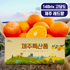 최고당도 제주 레드향 청정제주 레드향, 1개, 2kg