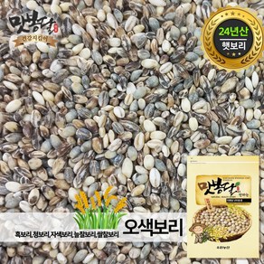 맛봉달 오색보리쌀 흑보리 자색보리 청보리 늘찰보리 쌀찰보리 국내산, 1개, 20kg 마대포장