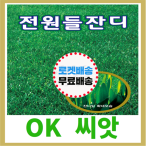 [OK씨앗] [전원들 잔디)] 잔디씨앗(오케이씨앗), 1개