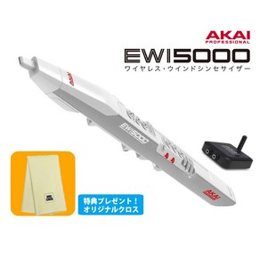 AKAI 아카이 PRO EWI 윈드 5000 신디사이저 전자관악기 EWI5000WJ, 1개, 상세페이지 참조