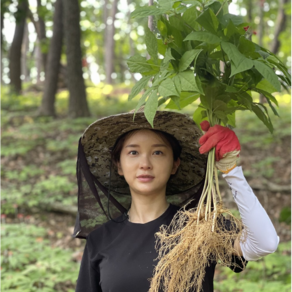 삼선생 강원도 정기를 머금은 산양삼 장뇌삼 산삼 산양산삼 장뇌산삼 국내산 6년근 5뿌리 선물세트, 72g