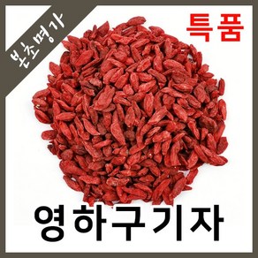 본초명가 구기자 영하구기자(특품), 1개, 500g