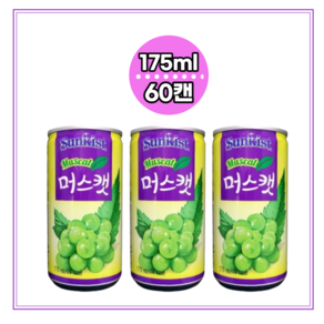 [달담박스]해태 썬키스트 머스캣 175ml 60캔, 60개