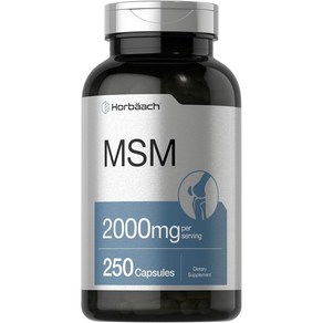 호바흐 MSM 2000mg, 250캡슐, 1개