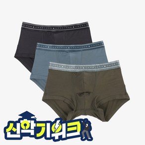 [라쉬반 스탠다드] 남성팬티 시그니처 모션 3종