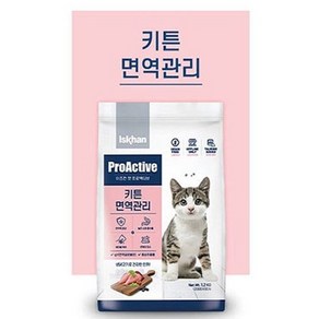 이즈칸 캣 프로액티브 키튼 면역관리 1.2kg, 닭, 1개