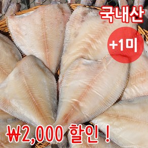 짠돌이쇼핑 반건조 손질 가자미 10-12미 18-20cm 외 10종 군산항직송, 10개, 중 (18cm)