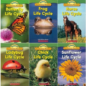 스콜라스틱 Science Vocabulay Reades Set: Life Cycles: Exciting Nonfiction Books That Build Kids' Vocabu, 스콜라스틱 Science Vocabulay Reade