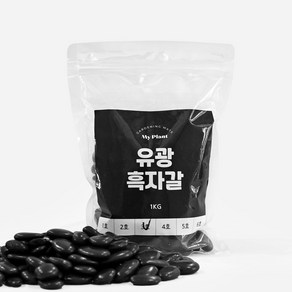 마이플랜트 유광흑자갈 1kg, 2호(9~15mm), 1개