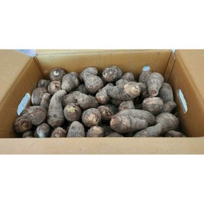 [산지직송] 전라남도 곡성 무농약 웰빙 햇 생 토란 알토란 밭에서 캔, 1박스, 2kg
