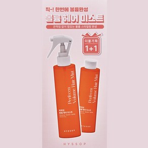 히솝 퍼펙엔 볼륨 헤어미스트 기획세트, 1개, 400ml