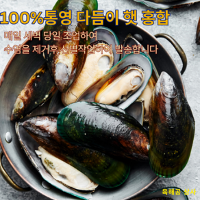 100% 통영 다듬이 햇 홍합 (수염제거후 선별하여 배송), 1개, 통영홍합 5kg