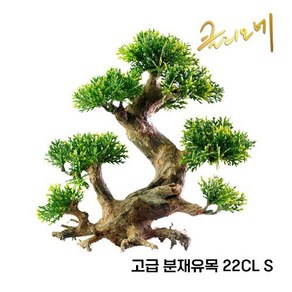 분재유목 22CL(S) 17x23x12, 1개