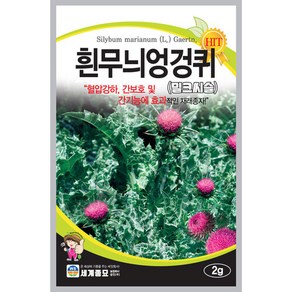 흰무늬엉겅퀴2g 씨앗 세계