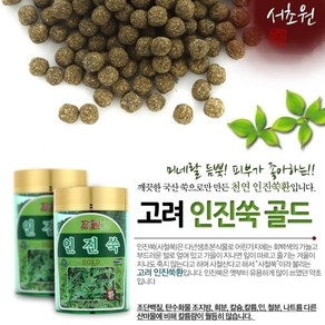 인진쑥환 인진쑥환골드 병제품 서초원 약4000정, 250g, 1개