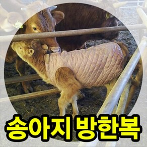 황소농기계 송아지방한복+넥워머 송아지조끼 깔깔이 축산기자재, 1개