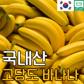 국산 유기농 바나나 1.5KG 산청 바나나, 국내산 바나나 1.5KG, 1개