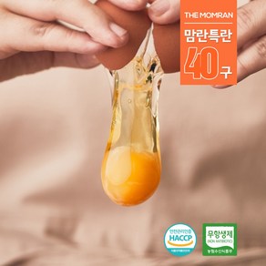 [한솔맘란] 1등급 무항생제 특란 40구 /당일생산 KAIST 특허 살모넬라 fee, 40개