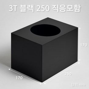 조이사인 직사각 응모함 250x170 / 두께 3mm 투표함 모금함 아크릴 상자 매장/진열용품, 직응모함 250*170/3T 블랙 [JE25173B]